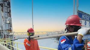 Operation & Maintenance Service